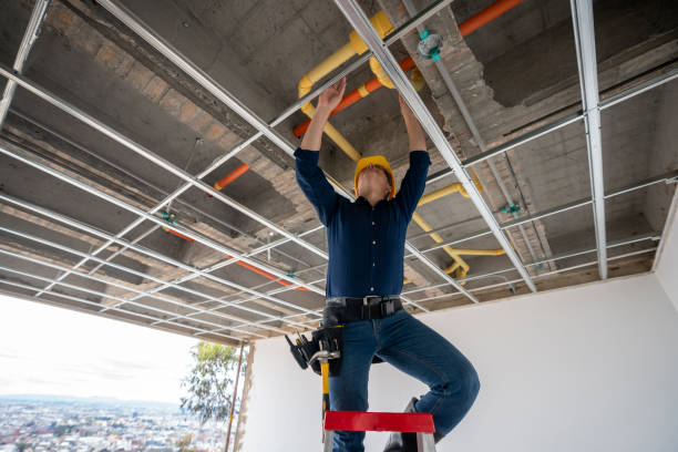 Best Leak Detection Services  in Southmayd, TX