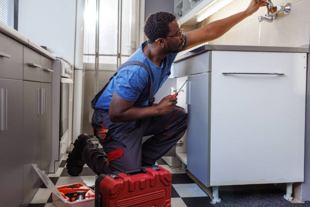 Best Plumbing Services Near Me  in Southmayd, TX